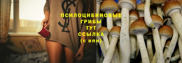 прущие крисы Бронницы