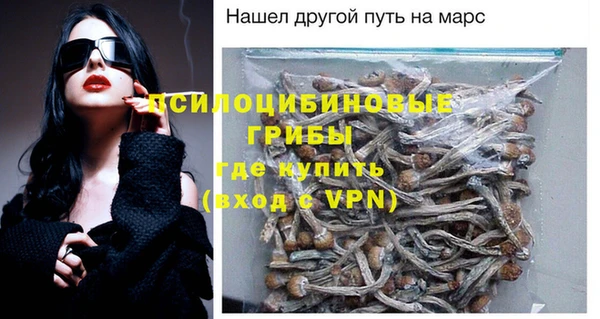 меф Бородино