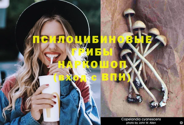 меф Бородино