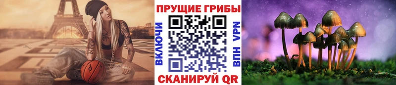 Псилоцибиновые грибы Psilocybine cubensis Дно