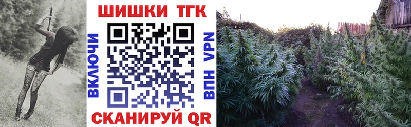 Бошки марихуана White Widow  Купить закладки  Дно 